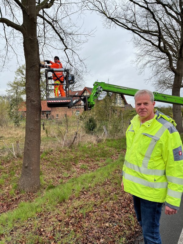 Bild vergr&ouml;&szlig;ern: Foto Nistk&auml;sten