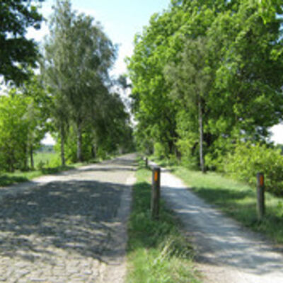 Bild vergrößern: Eine Kopfsteinpflaster-Straße mit Radweg daneben